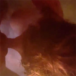 album thumb