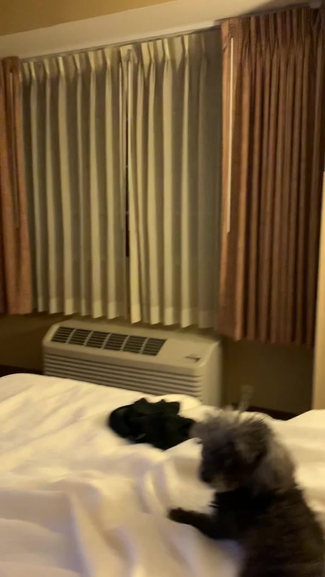 Pic #1Straight outta Compton 2