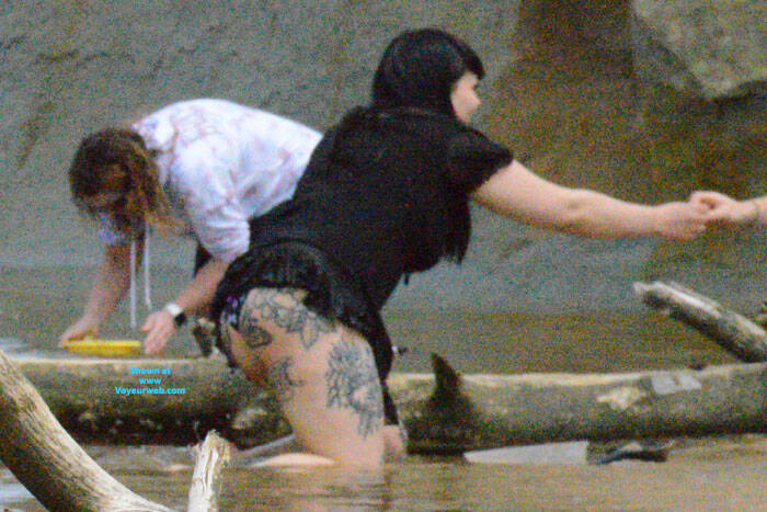 Pic #1digging in the beach sand