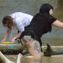 Pic #1digging in the beach sand