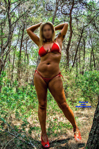 Shots in pinet forest. , Shots In Pinet Forest. 2