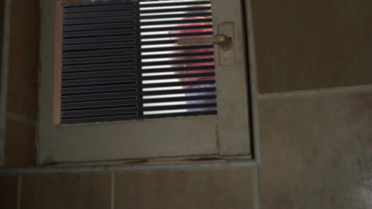 Pic #1An accidental view