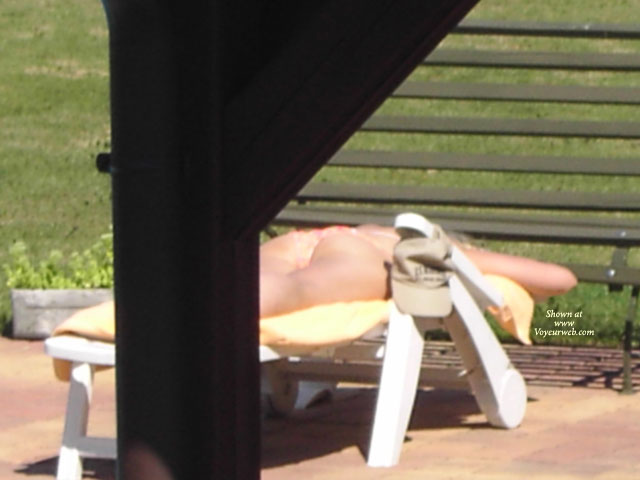 Pic #1My Neighbour