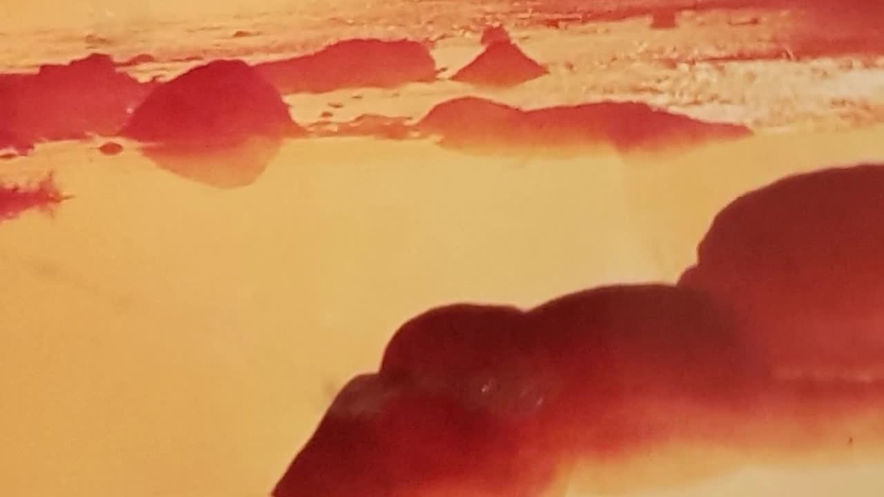 Pic #1Hairy Pasci in the office