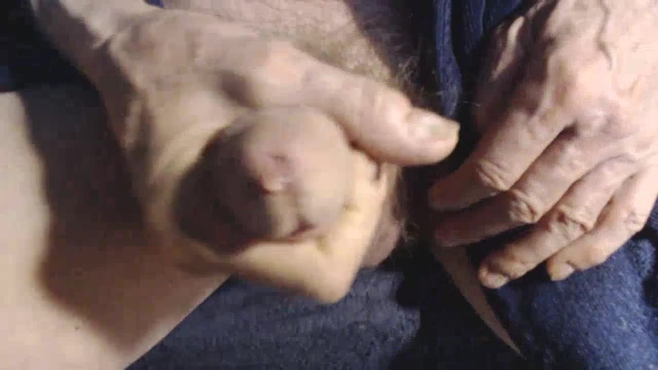 Pic #1jerking
