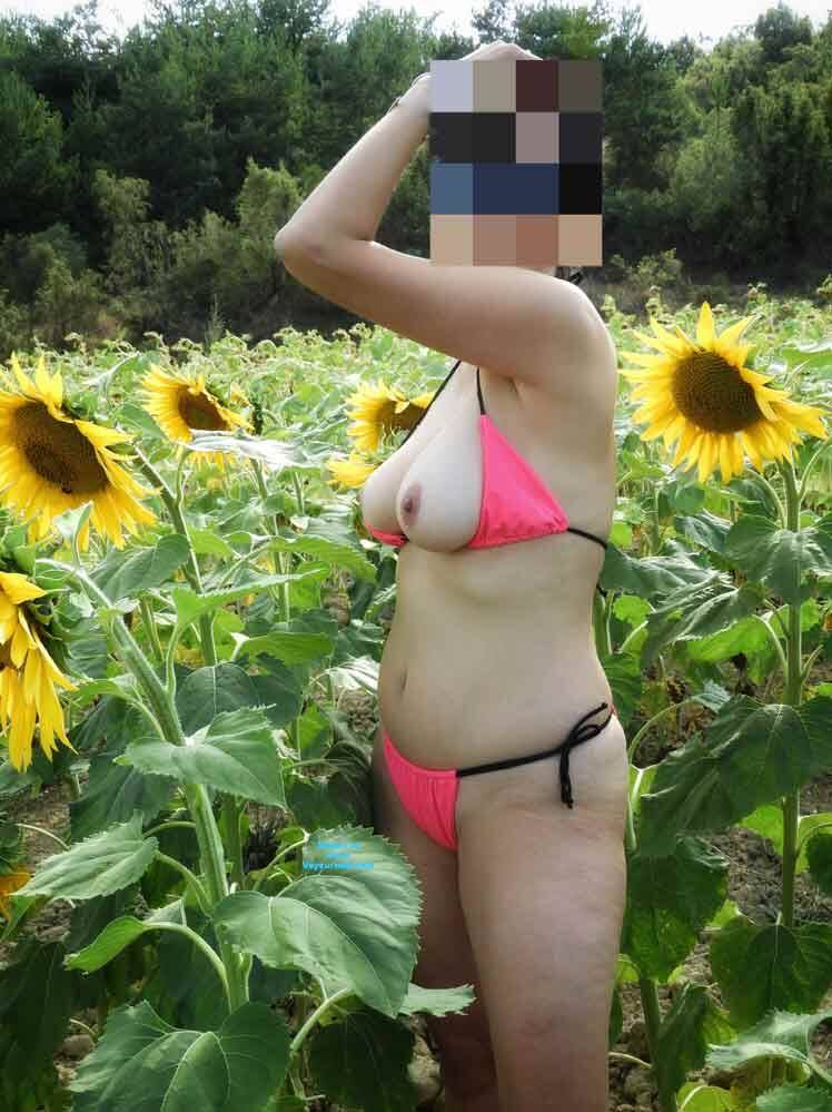 Pic #1Sunflower field - Amateur, Ass, Big Ass, Big Tits, Brunette, Firm Ass, Flashing, Flashing Tits, Girls Stripping, Hanging Tits, Hard Nipples, Homemade Amateur, Lingerie, Mature, Mature Ass, Mature Pussy, Milf, Milf Ass, Natural Tits, Nature, Nude Amateurs, Nude Wives, Outdoors, Pussy, Pussy Hair, Sexy Wives, Trimmed Pussy