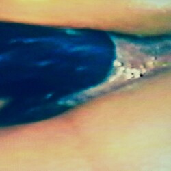 Pic #1 Latina milf getting pussy stretched