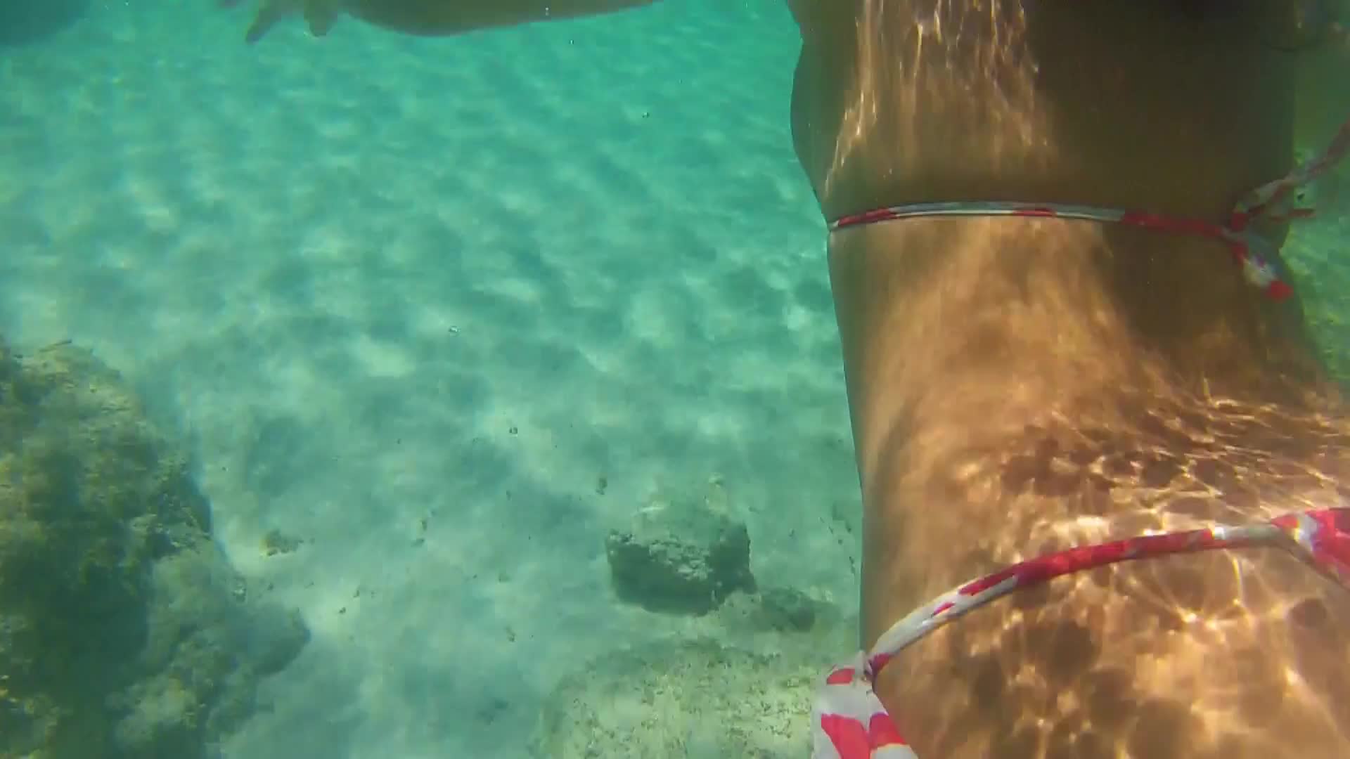 Pic #1Sexy girl swim sharking