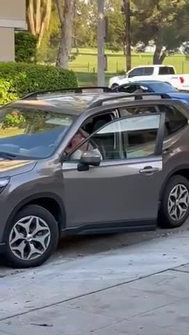 Pic #1Topless in public 