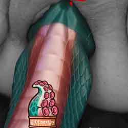 album thumb