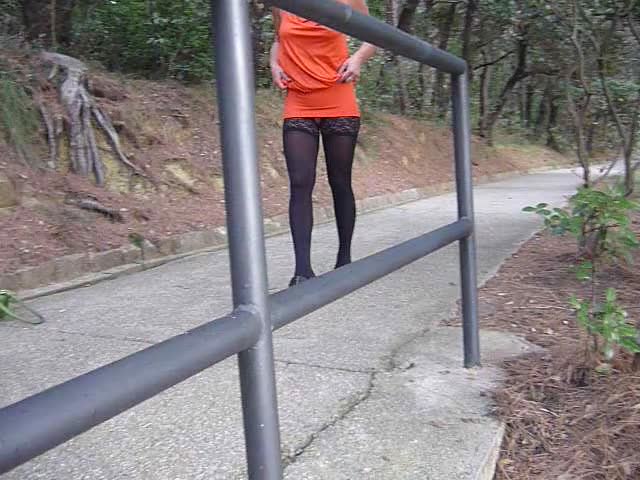Pic #1im Park