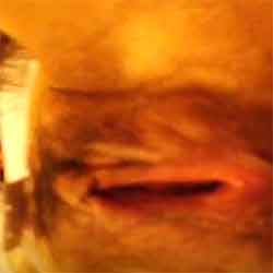 album thumb