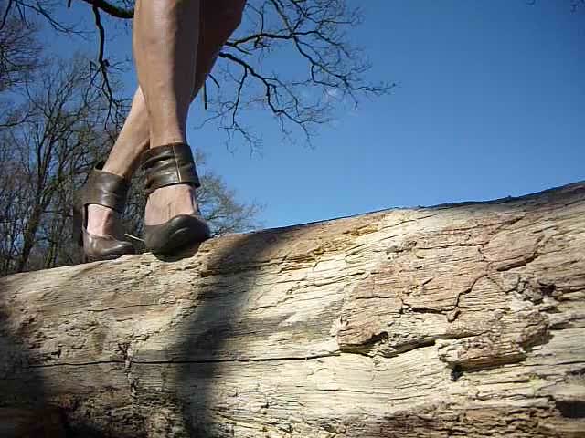 Pic #1auf dem Baumstamm