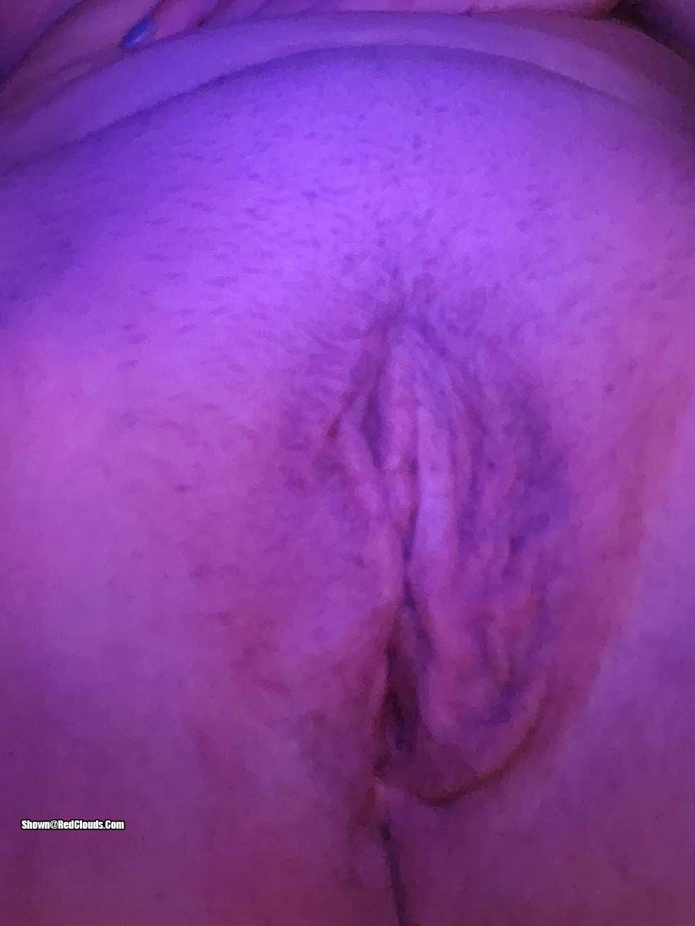 Pic #1pussy