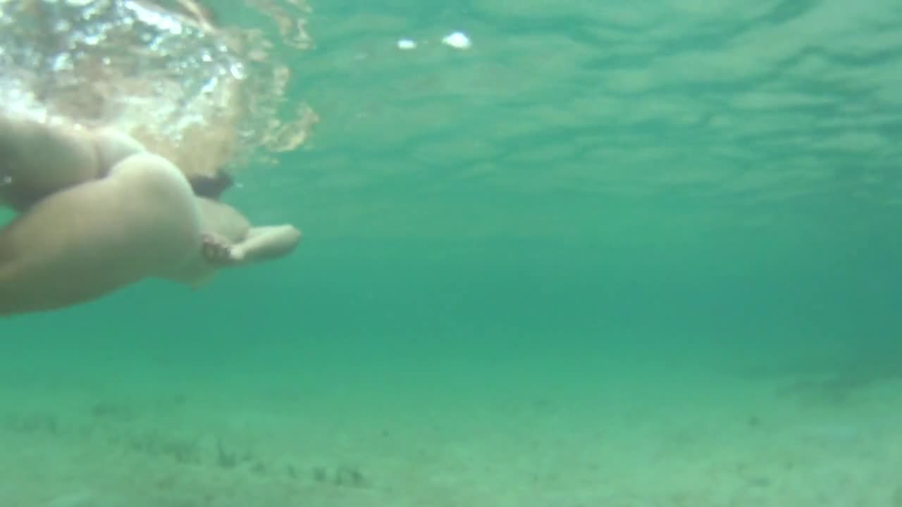 Pic #1Snorkeling  in Belize - Beach, Beach Pussy, Cunt Pics, Firm Ass, Hard Nipples, Homemade Amateur, Natural Tits, Nature, Nude Amateurs, Nude Girls, Outdoors, Pussy, Wet, Wet Pussy Pic, Wet Tits