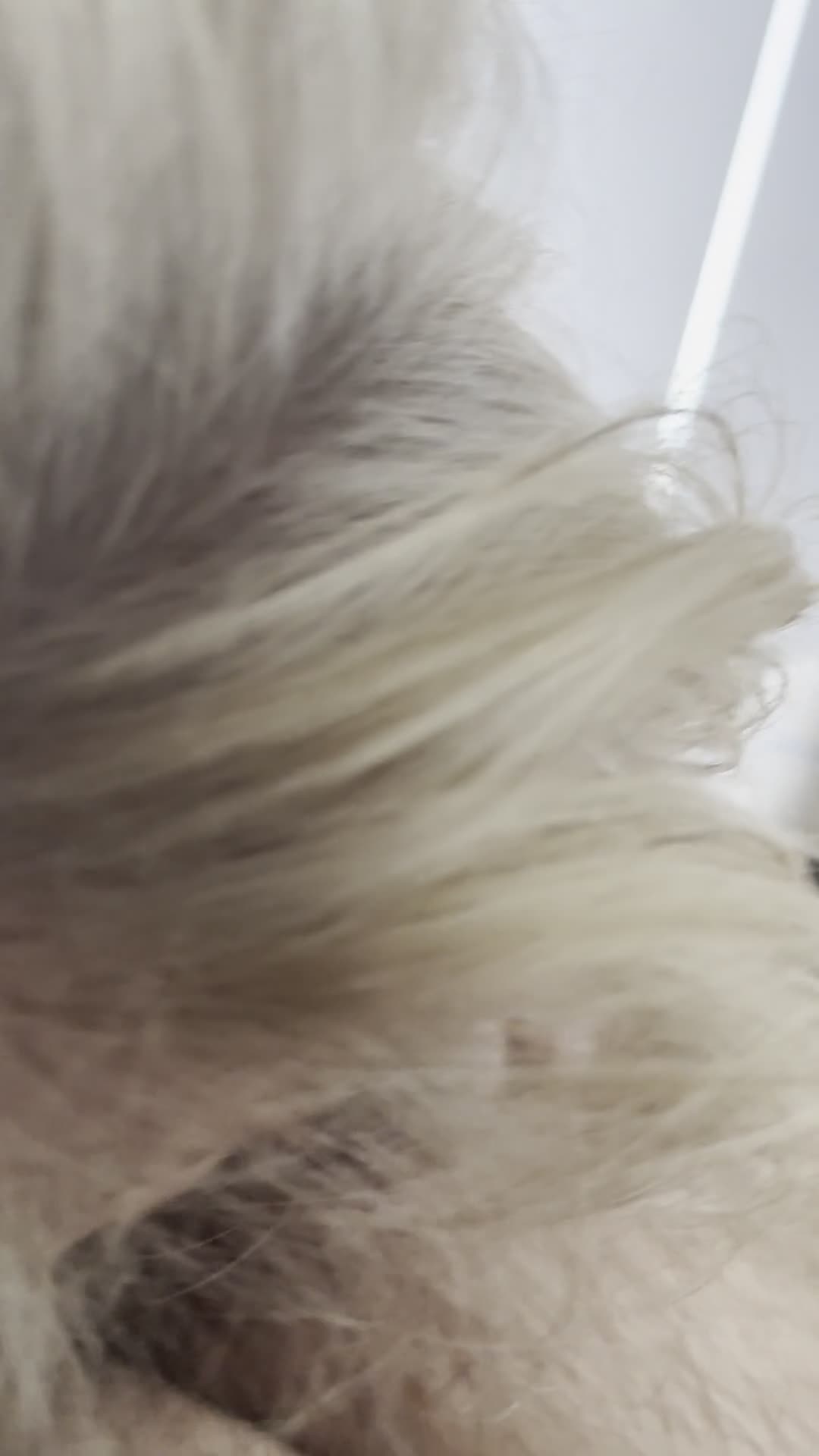 Pic #1Good Morning Blow Job