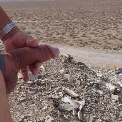 Walking Nude in Death Valley