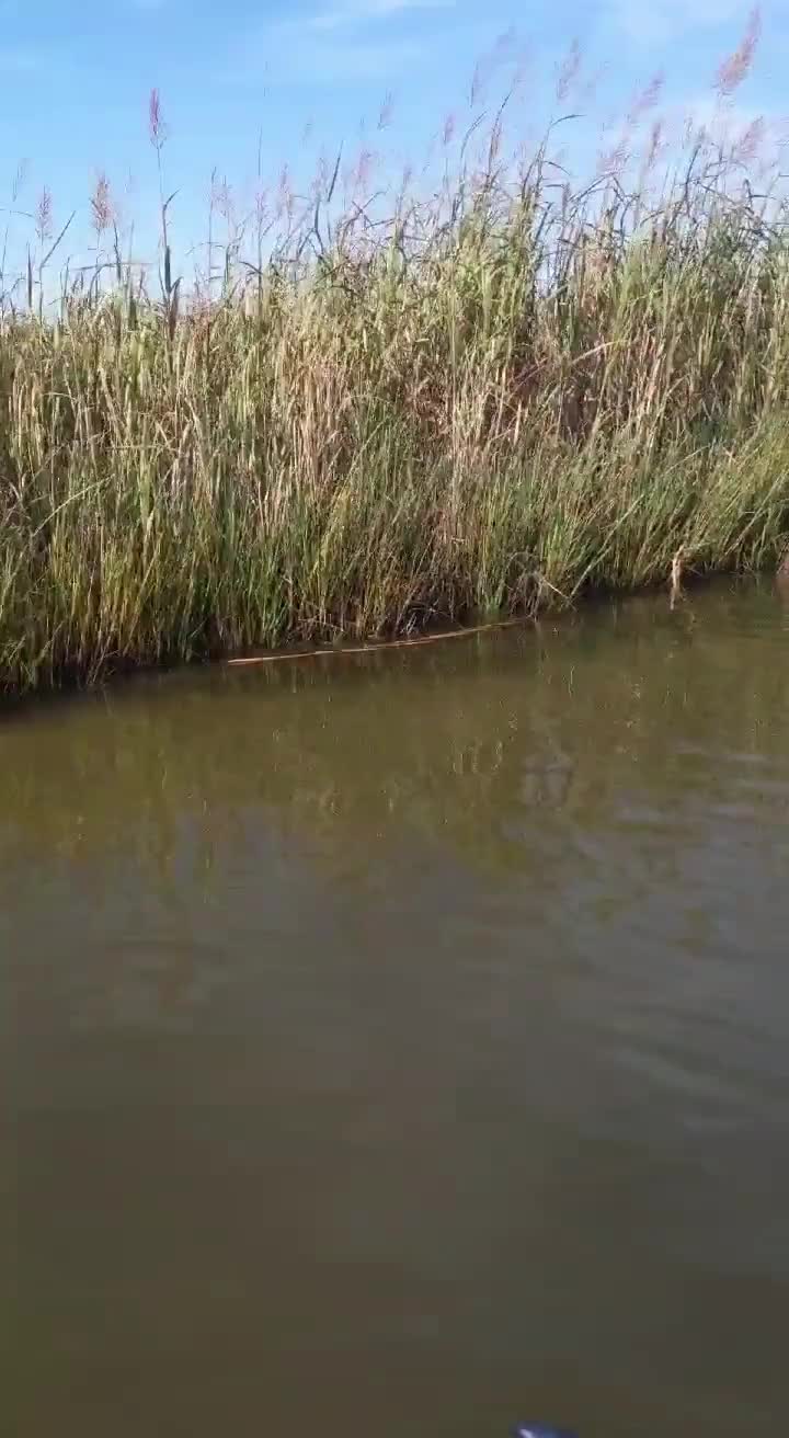 Pic #1Nude SUP in the OBX