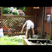 Pic #1Wife Working In Garden