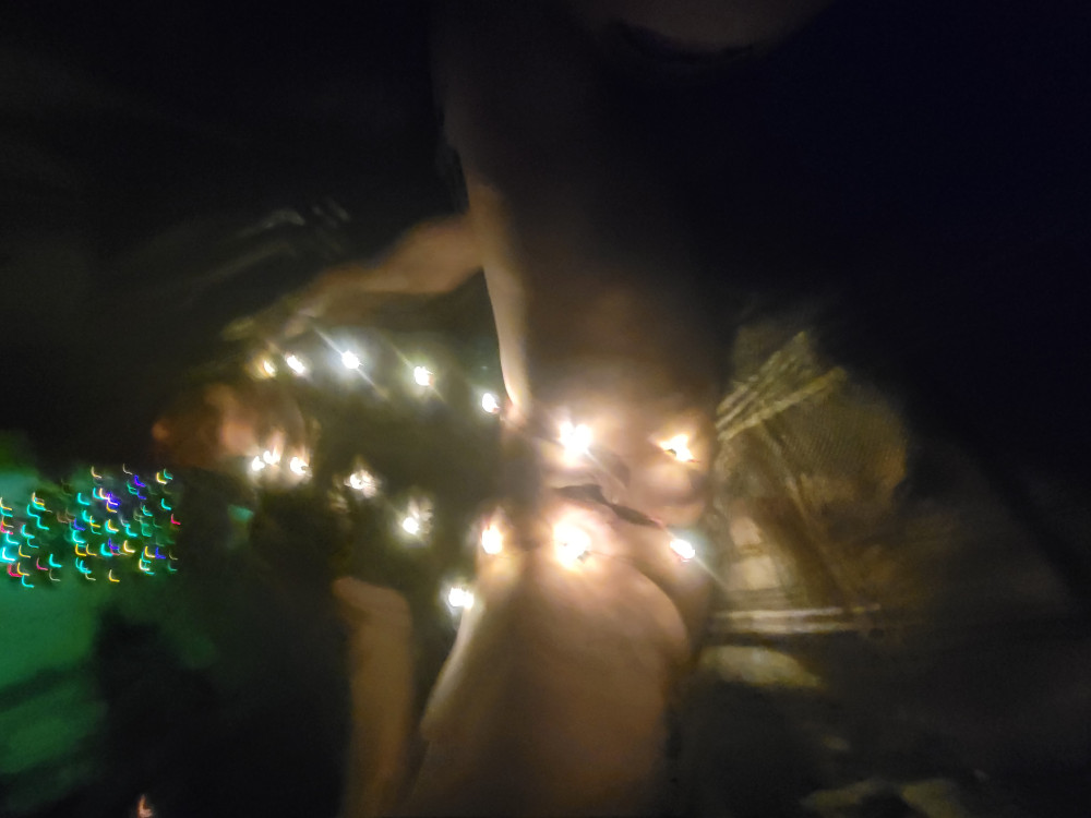 Pic #1 A neighbor's ass - Susie Q