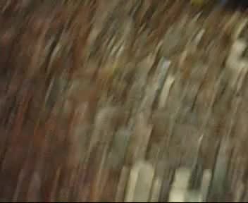 Pic #1Funghi - Nature, Bush Or Hairy