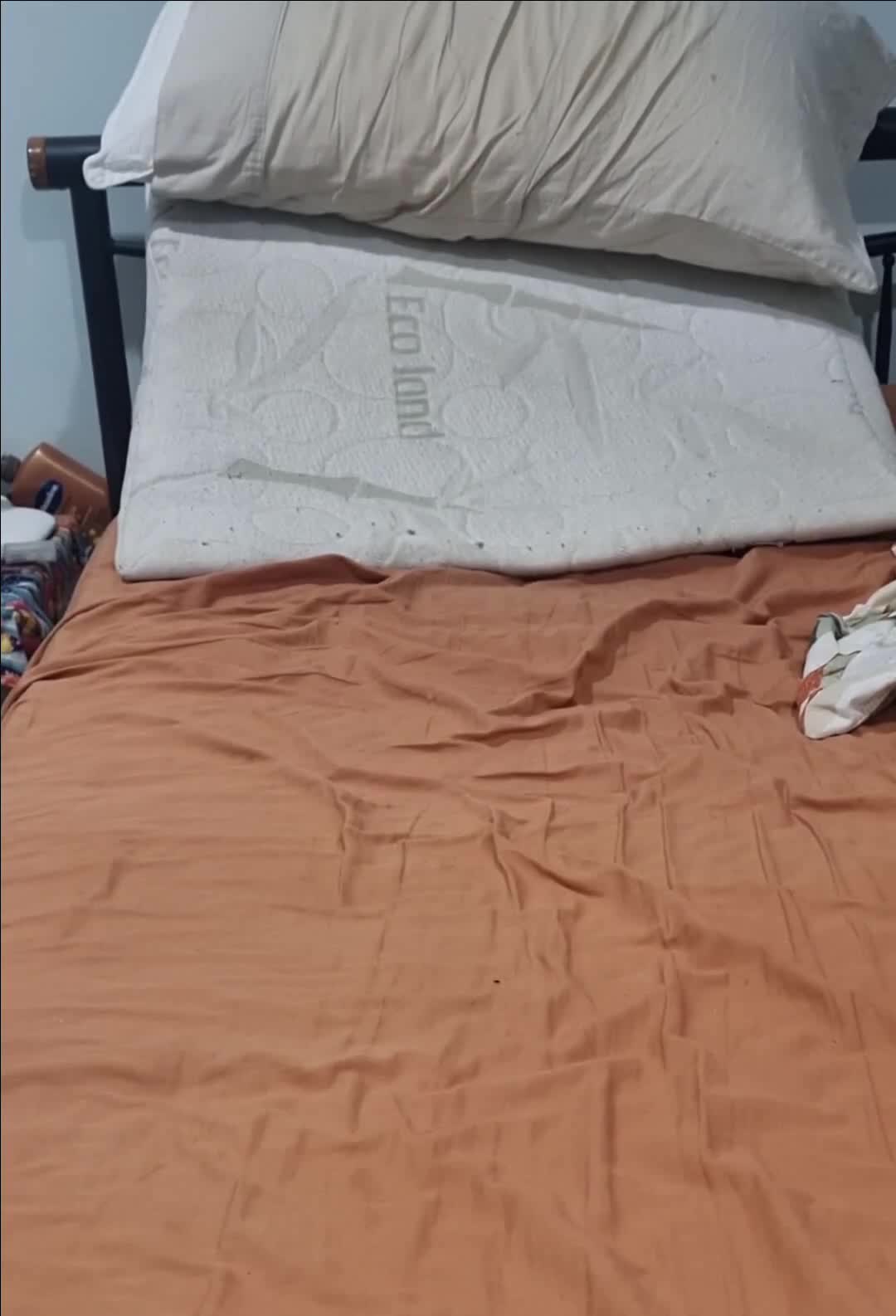 Pic #1bed again