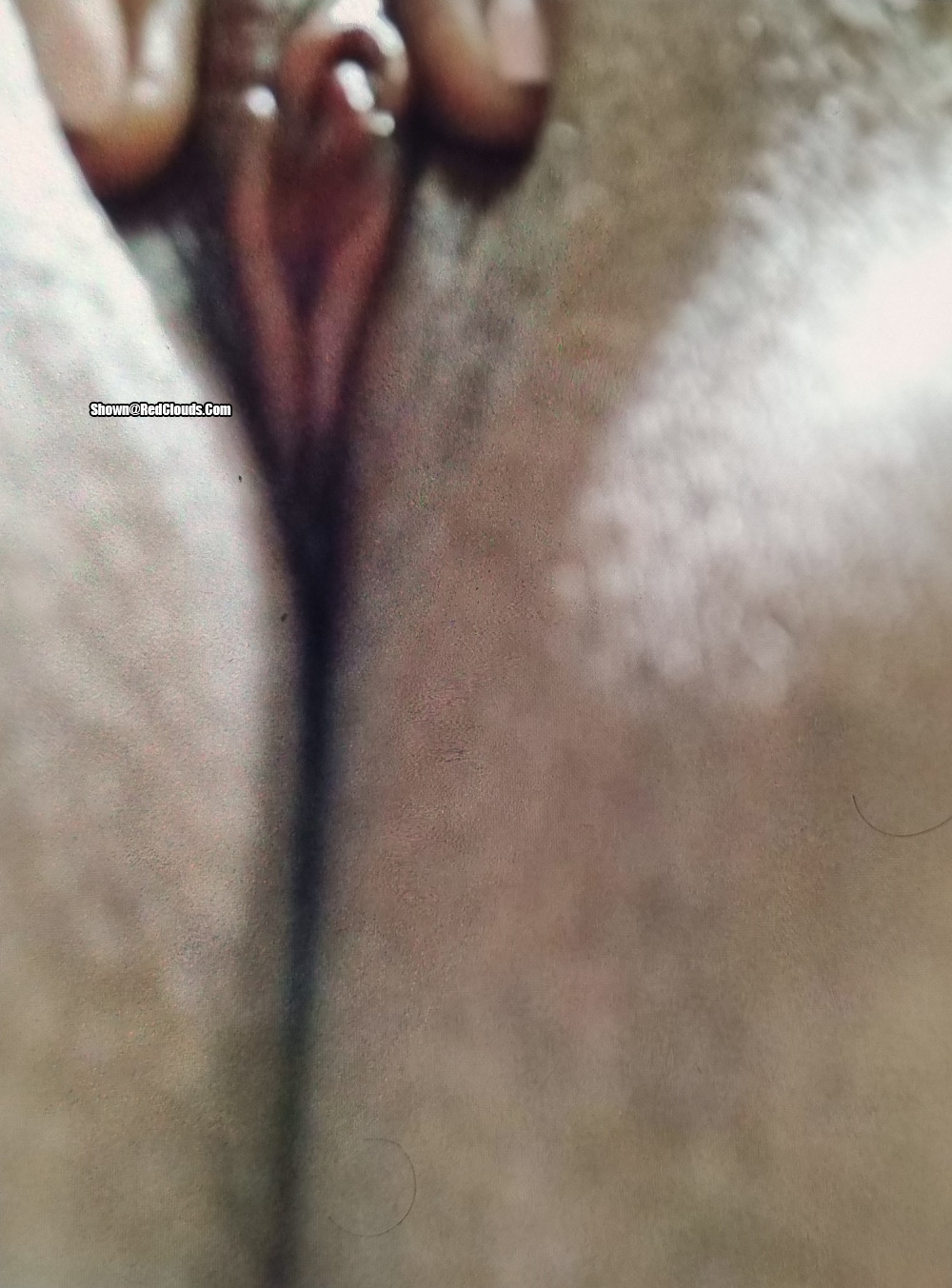 Pic #1Cuca gorda