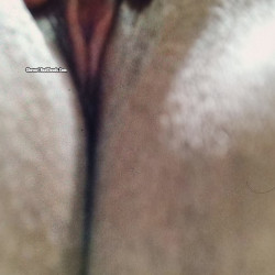 Pic #1Cuca gorda