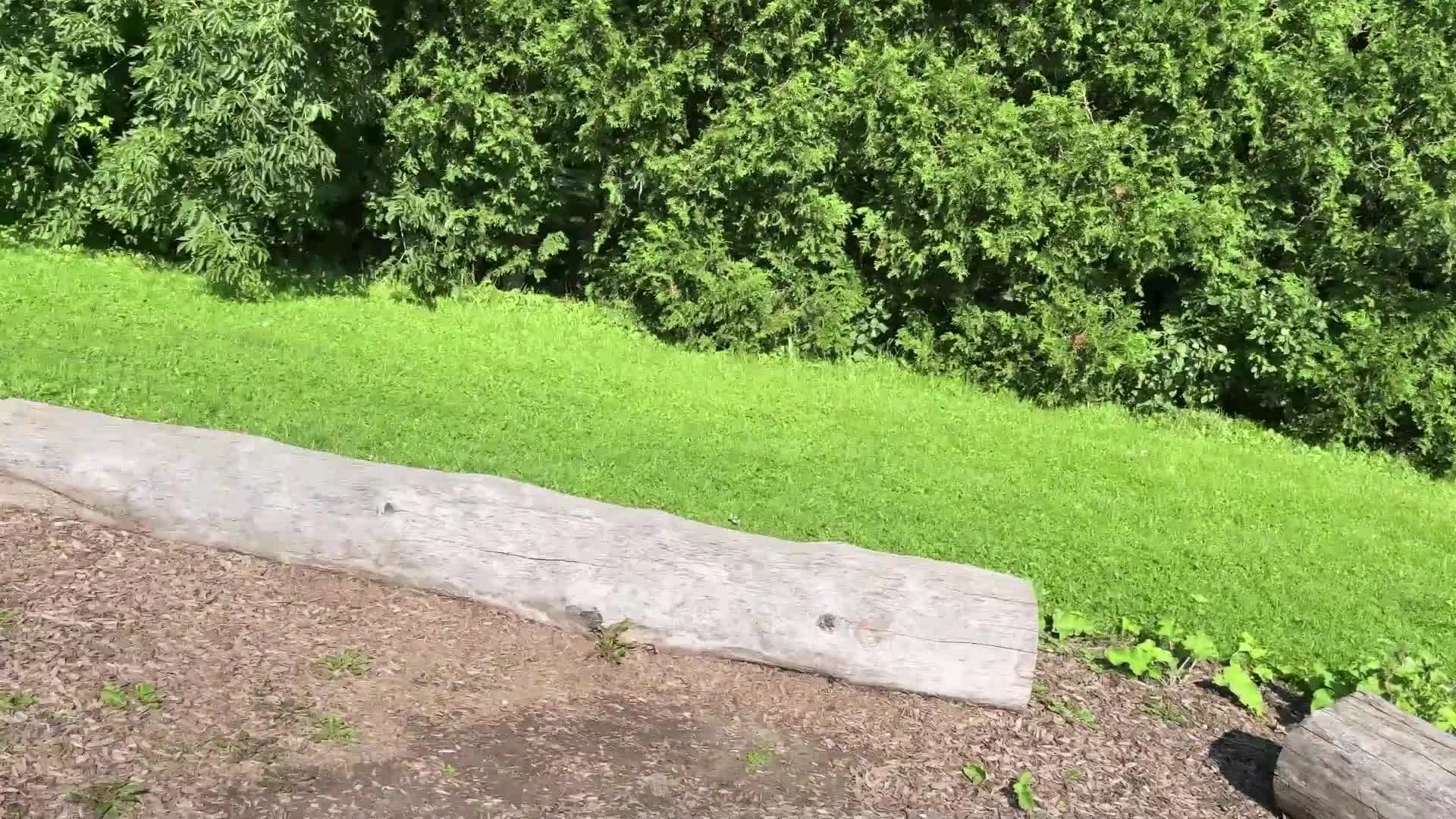 Pic #1Naughty in the park