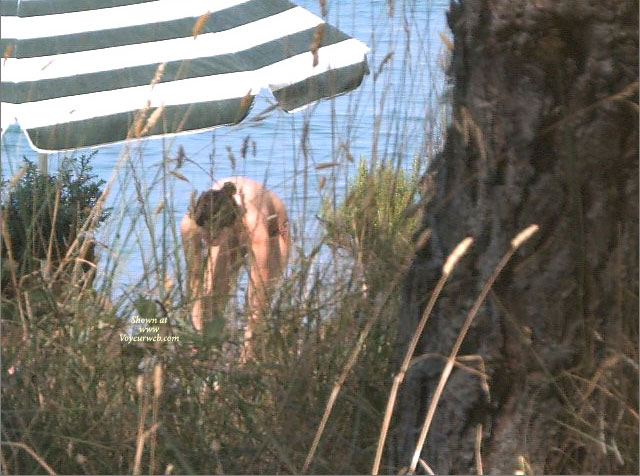 Pic #1This Summer In My Country