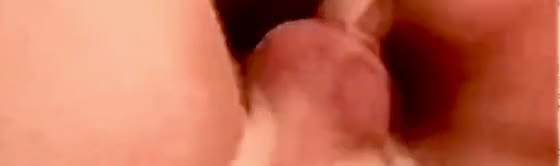 Pic #1Wet and Wild