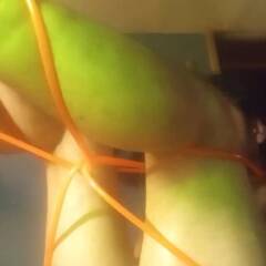 album thumb