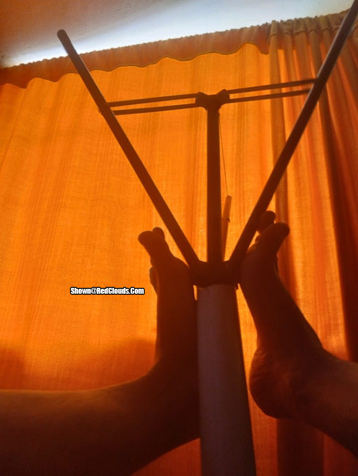 Pic #1Davydwolf69 live sessions show