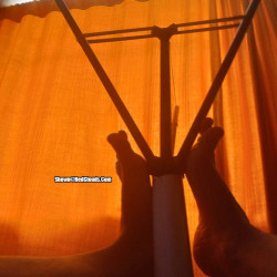 Pic #1Davydwolf69 live sessions show