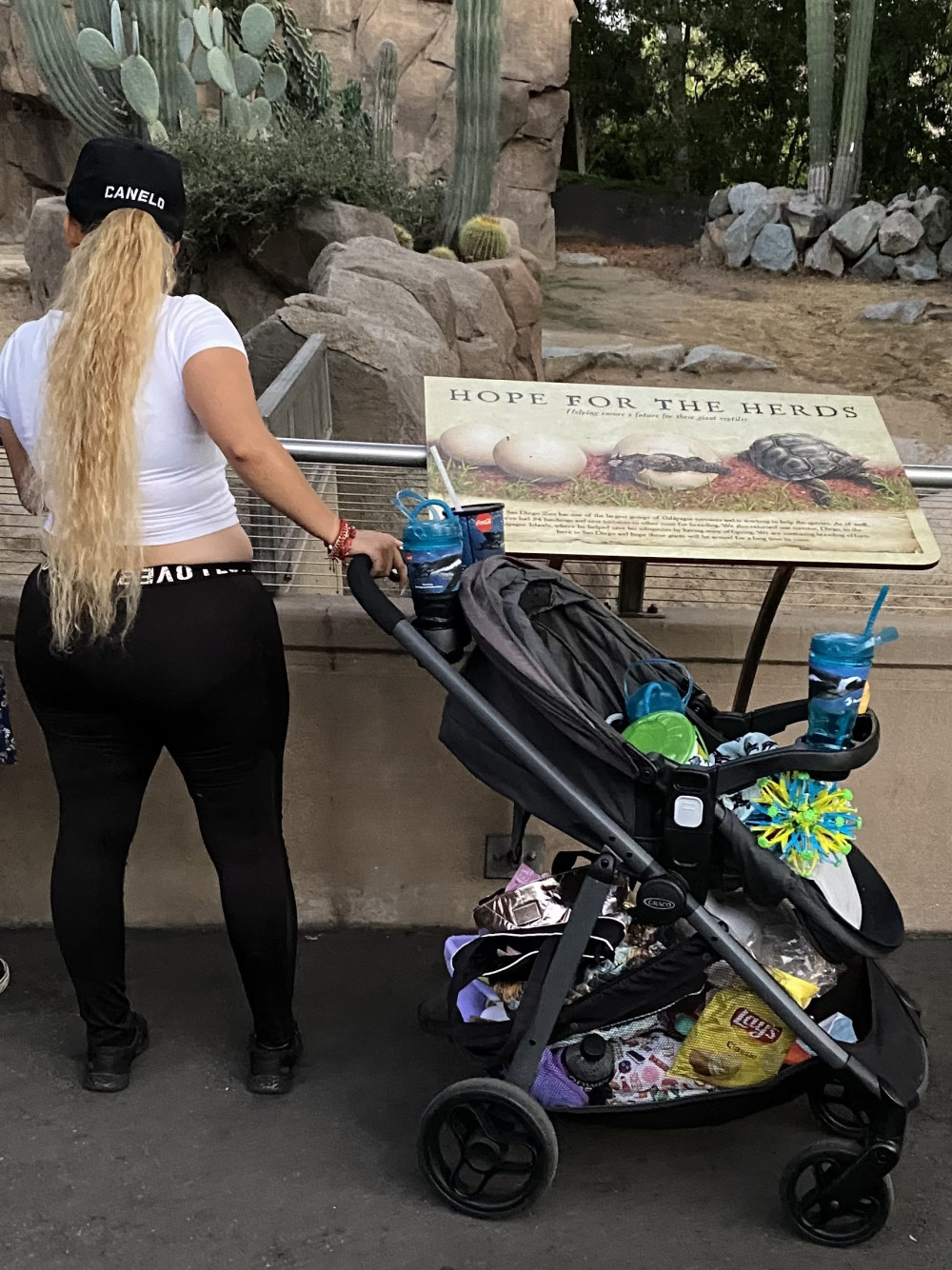 Pic #1Not your average housewife - Amateur, Ass, Bbw, Bent Over, Big Ass, Blonde, Close-ups, Cunt Pics, Girls Stripping, Hard Nipples, Legs Spread Wide Open, Mature, Mature Ass, Mature Pussy, Nude Amateurs, Nude Wives, Outdoors, Public Exhibitionist, Public Place, Pussy, Shaved