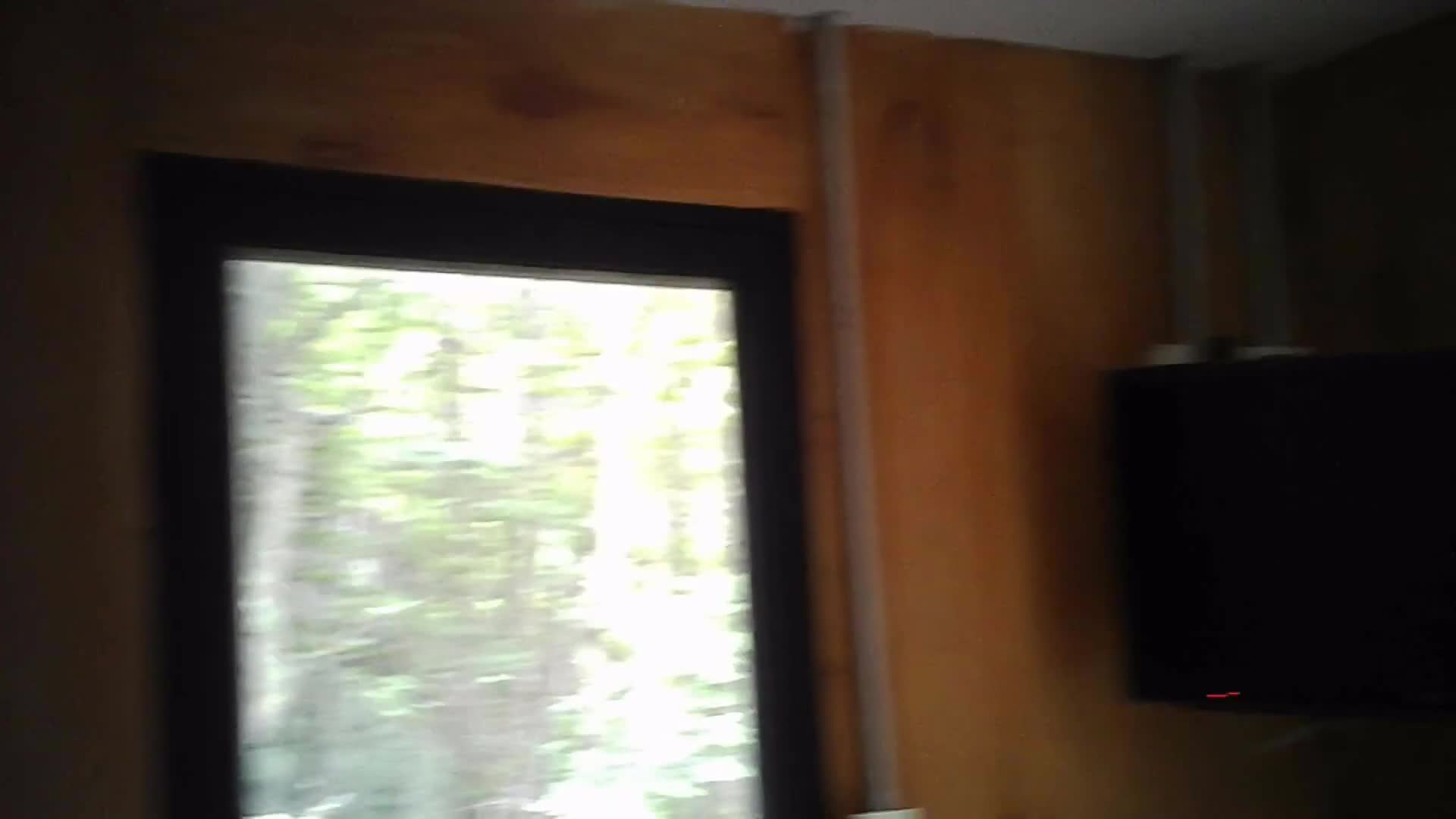 Pic #1Bening in the morning