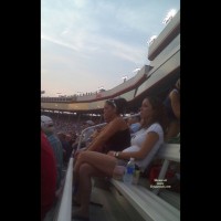 Bristol Race Chicks