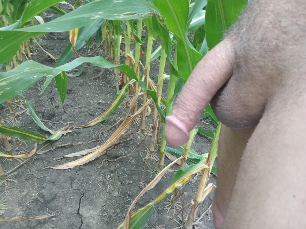 Pic #1More of my day off