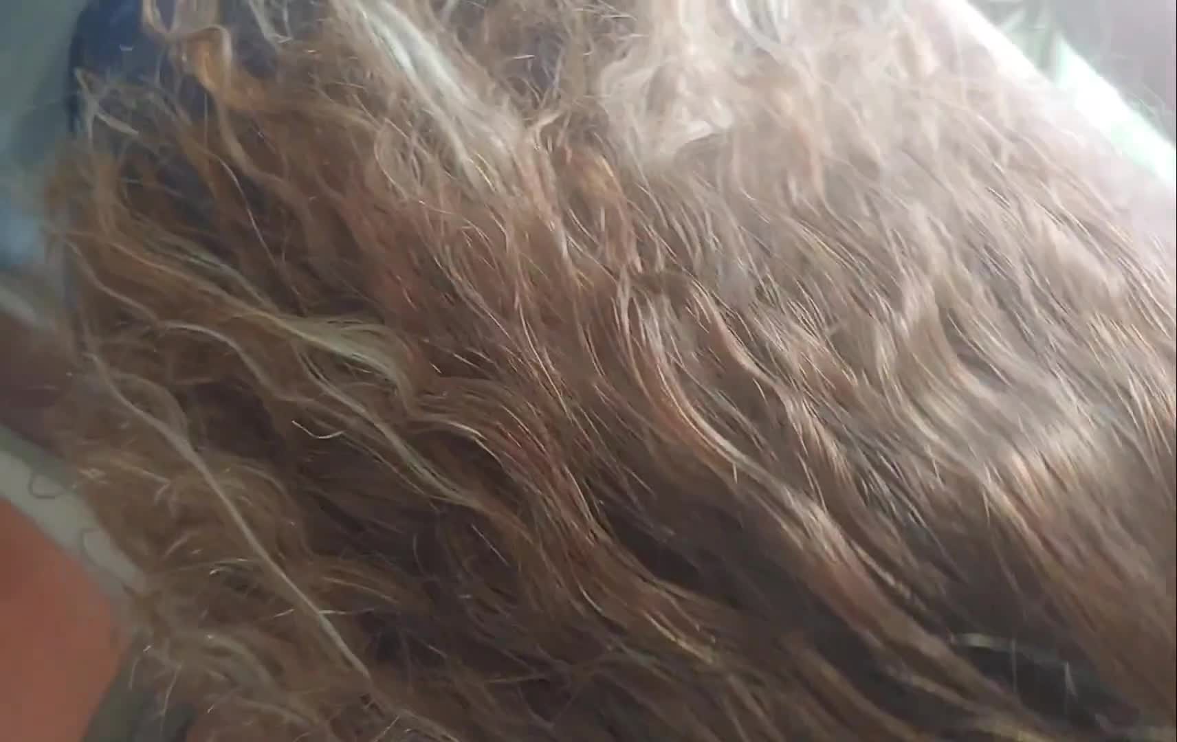 Pic #1bj