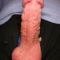 Pic #1Morning Wood