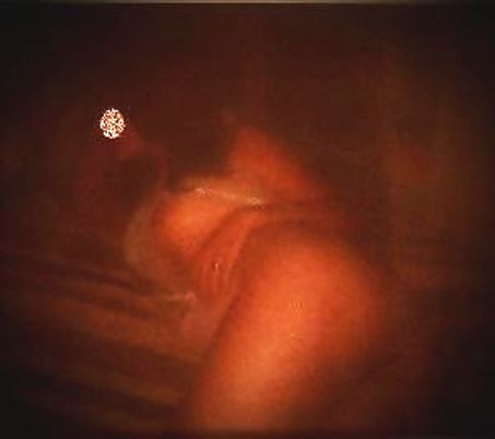 Pic #1 My wife's ass - Showing