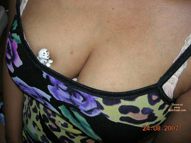 Pic #1Missing Puppy In Bush