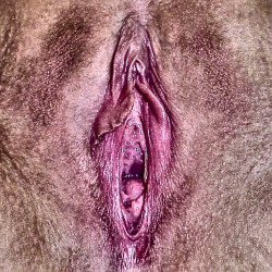 Fucking - Chione