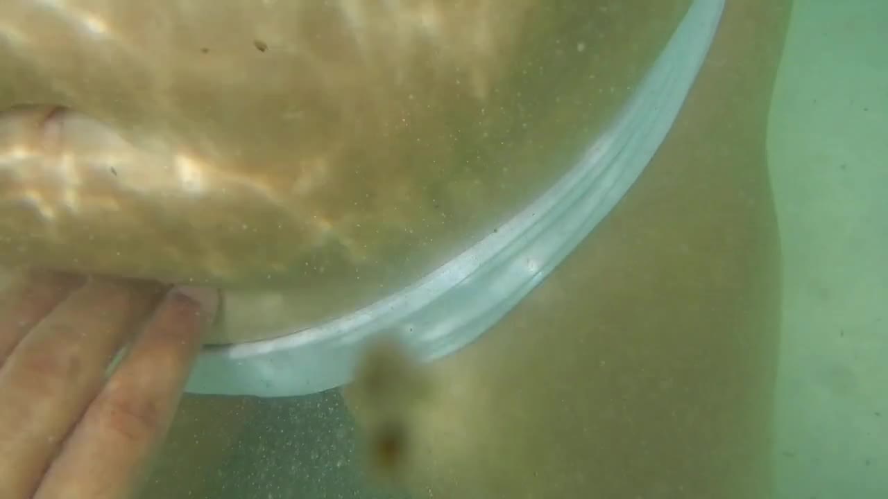 Pic #1underwater flash