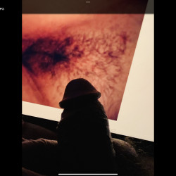 album thumb