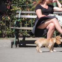 Pic #1De Paseo Con su Novio