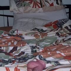 2 cocks