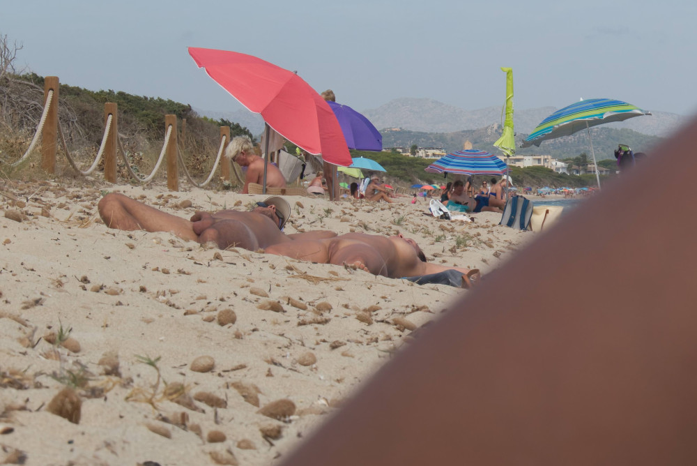 Pic #1 Beach Neighbors