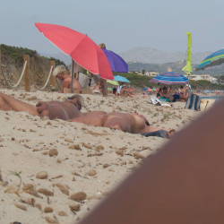 Pic #1 Beach Neighbors