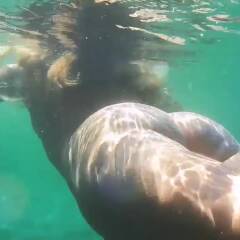 underwater